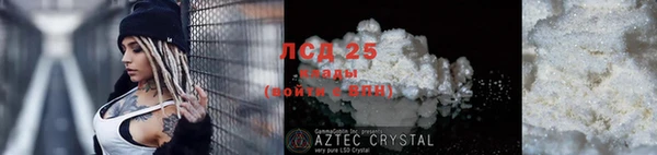 спайс Алзамай
